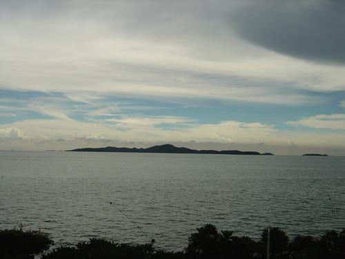 774.jpg